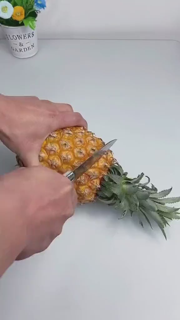 Cortador de ananás Premium
